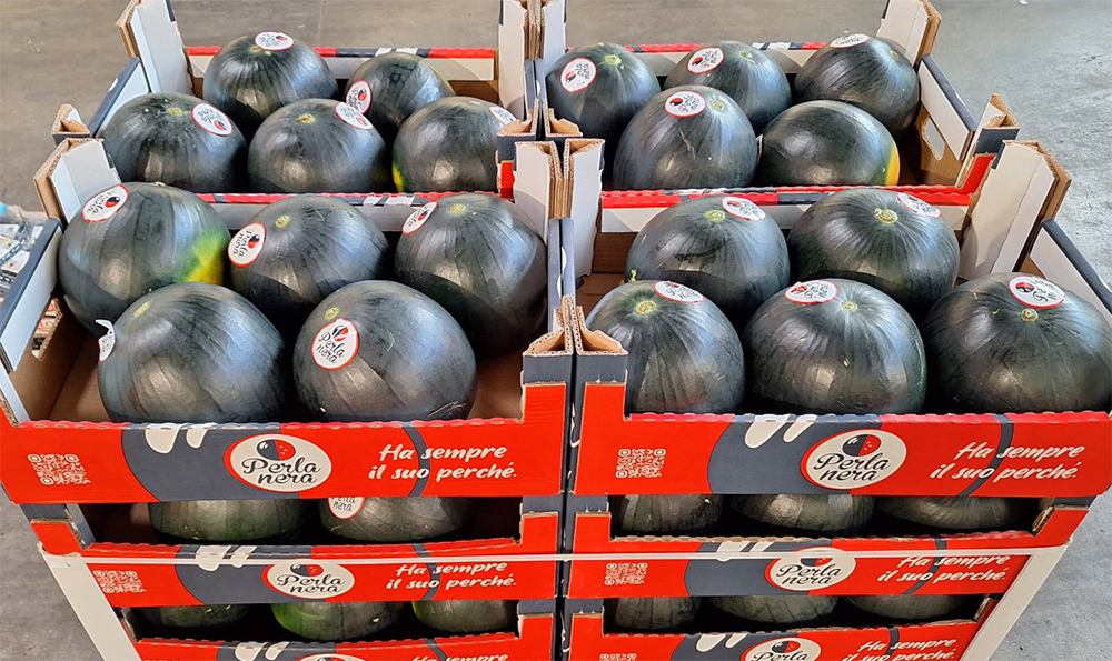 Anguria Perla Nera Origine Italia prezzo 2 euro al chilo